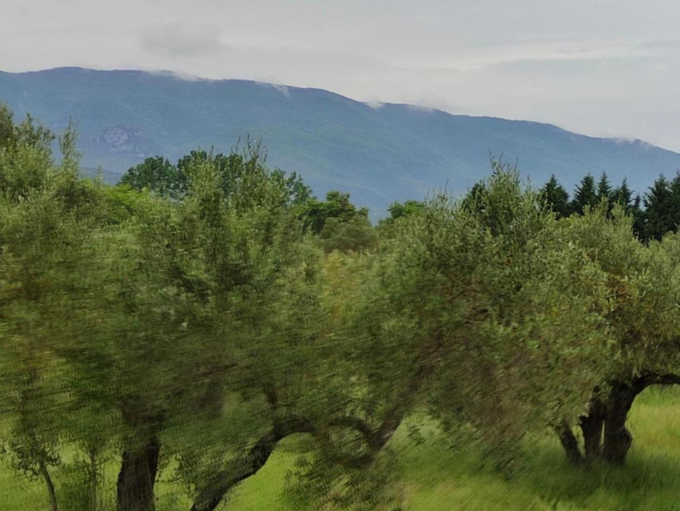 Helios Daire Vrasná Dış mekan fotoğraf